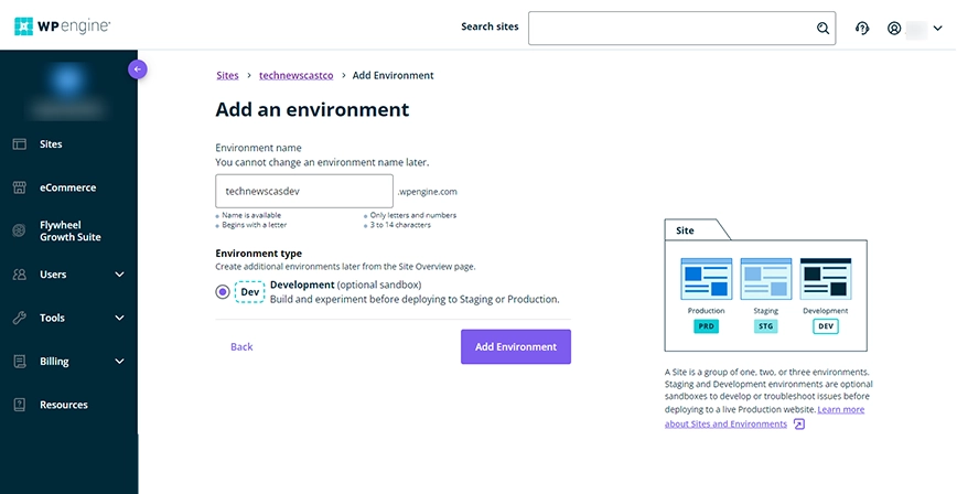 wordpress development and staging environments